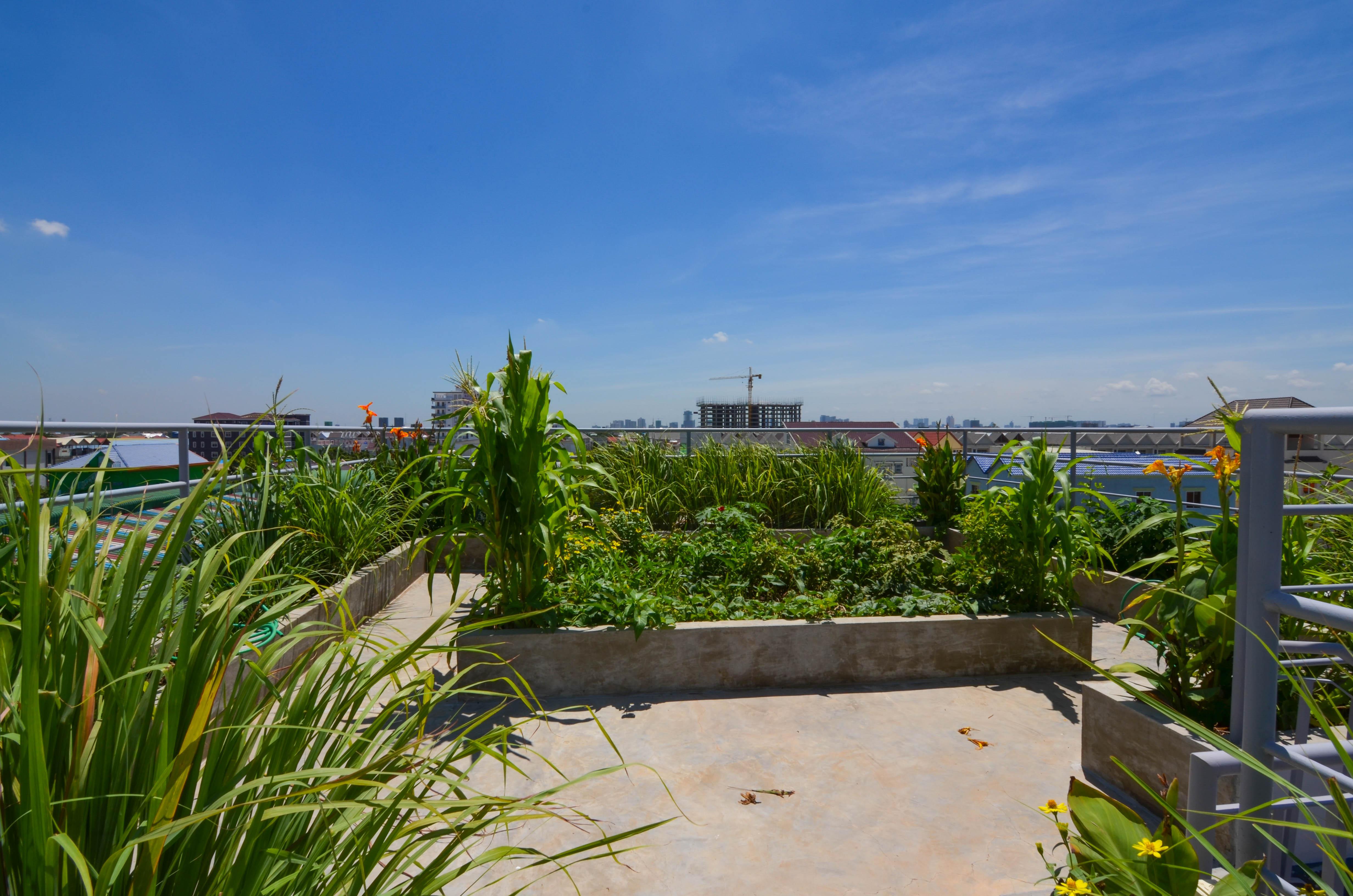 Mountainview homes